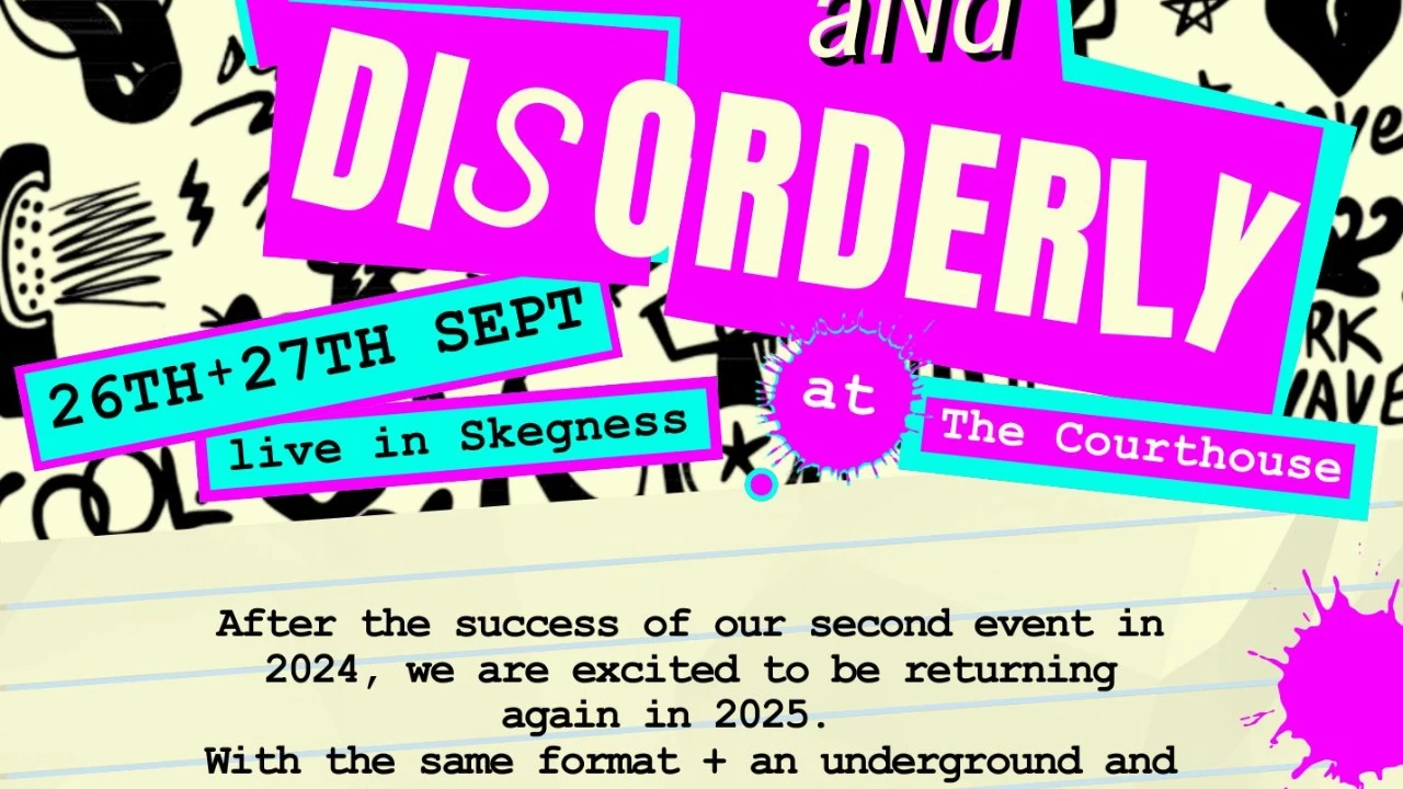 Punk and Disorderly 25